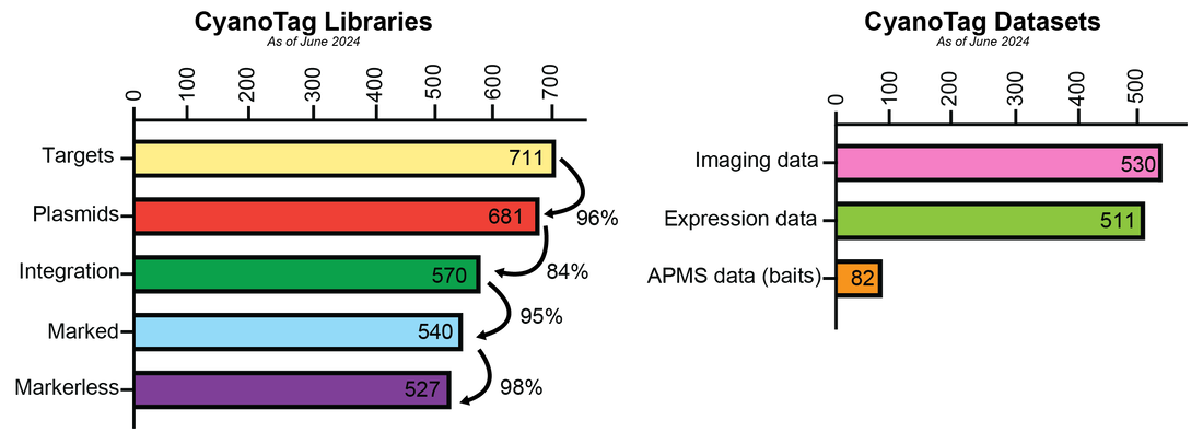 CyanoTag library statistics, June 2024