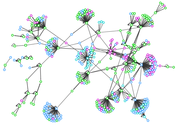 Protein-protein interaction network of the Chlamydomonas CCM